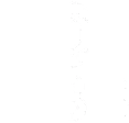 Media reference